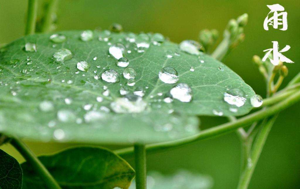 雨水！